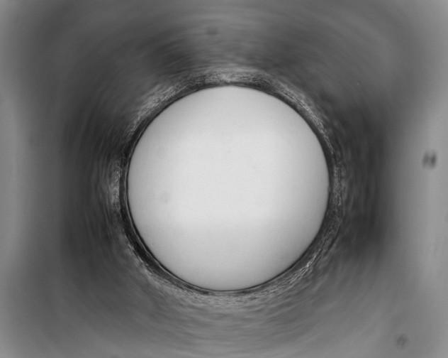 X0000098190010200805151216
