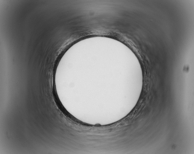 X0000098190011200805151216