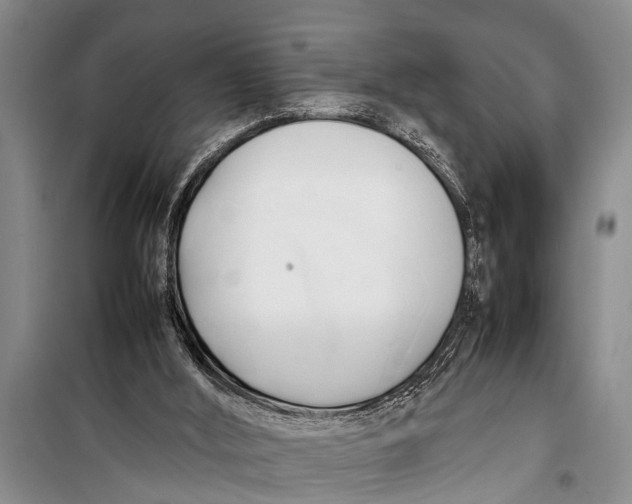 X0000098190012200805151216
