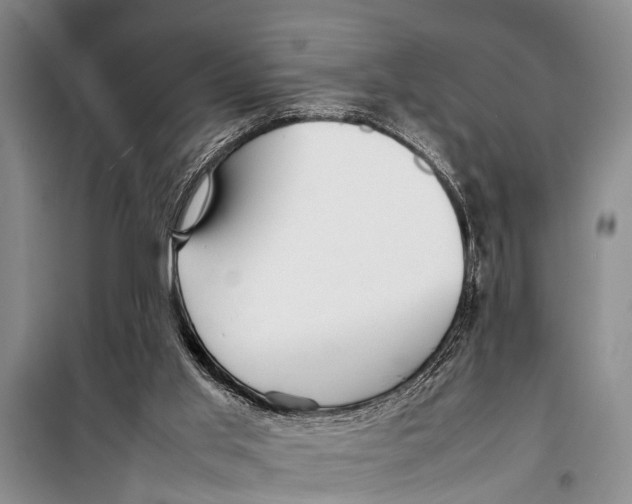 X0000098190013200805151216