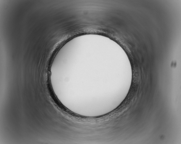 X0000098190015200805151216
