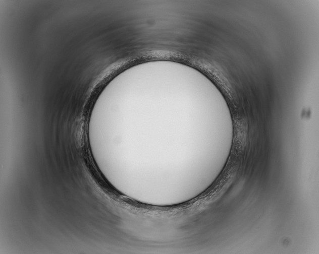X0000098190016200805151215
