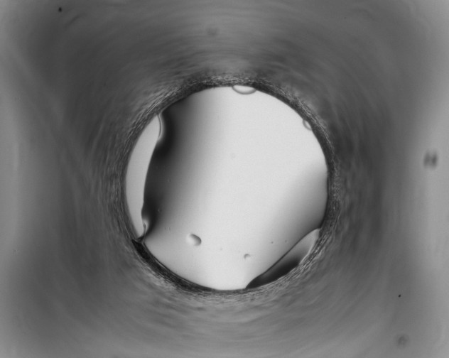X0000098190017200805151215
