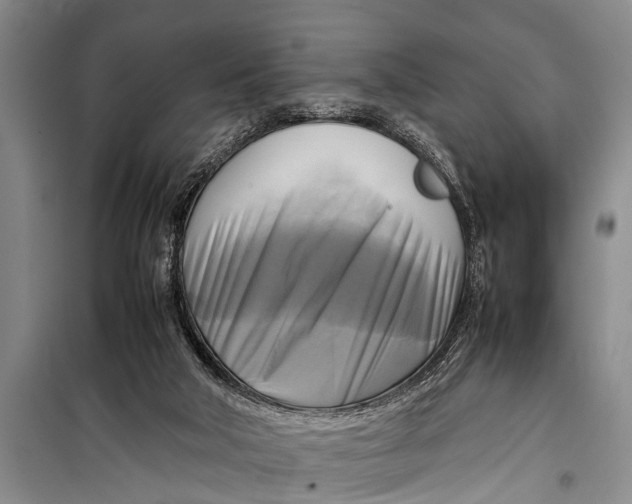 X0000098190018200805151215