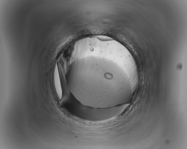 X0000098190019200805151215
