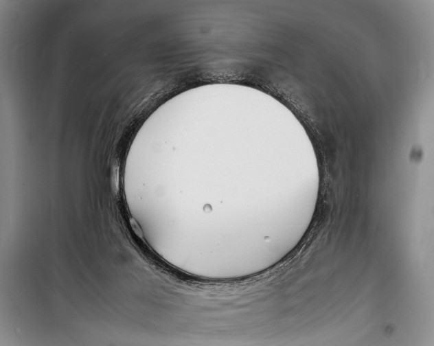 X0000098190021200805151215