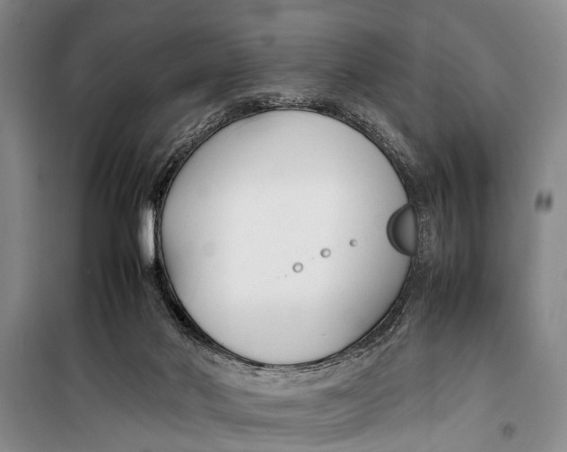X0000098190022200805151215