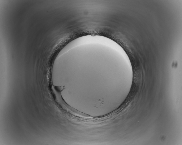 X0000098190023200805151215