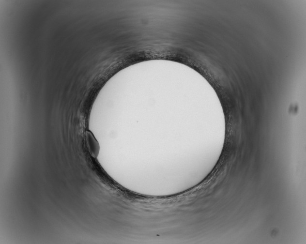 X0000098190025200805151215