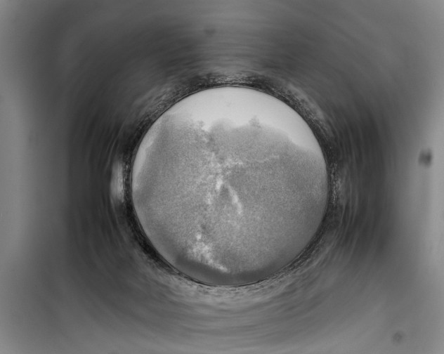 X0000098190026200805151215