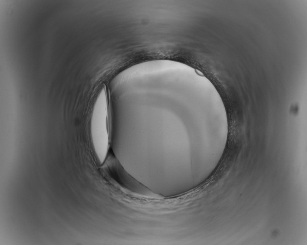 X0000098190027200805151215