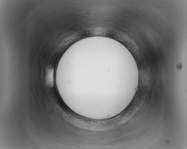 X0000098190028200805151215