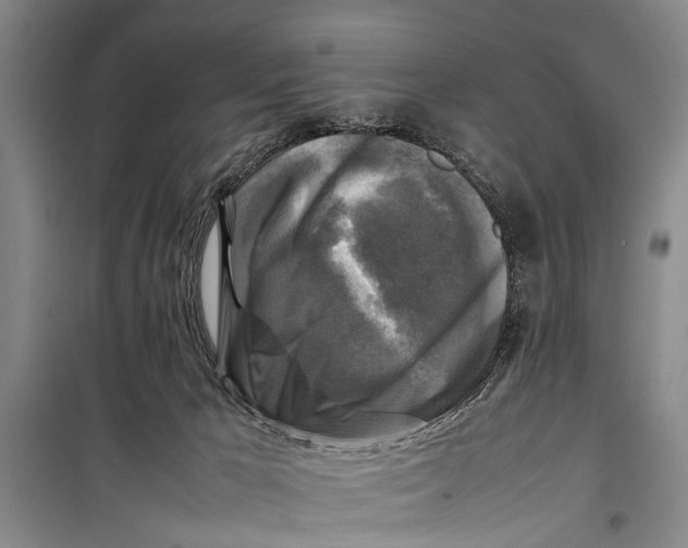 X0000098190029200805151215