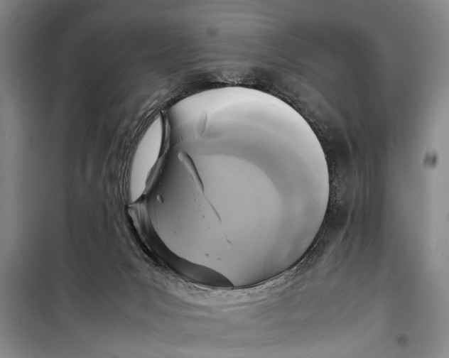 X0000098190031200805151215