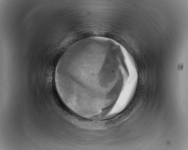 X0000098190032200805151215