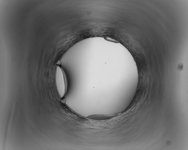 X0000098190033200805151215