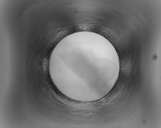 X0000098190036200805151215