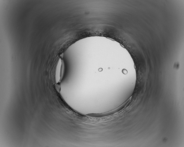 X0000098190037200805151215