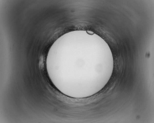 X0000098190038200805151215