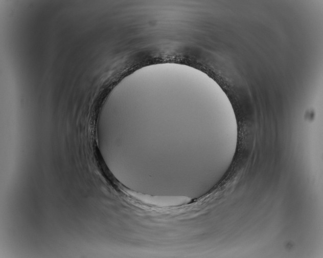 X0000098190039200805151215