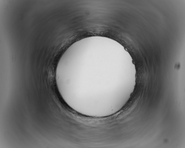 X0000098190040200805151215