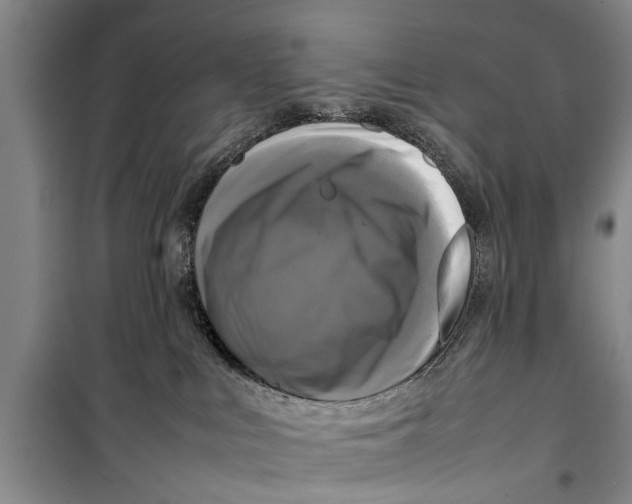 X0000098190043200805151215