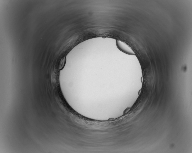 X0000098190044200805151215