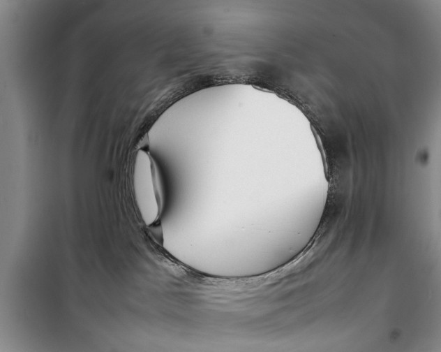 X0000098190045200805151215