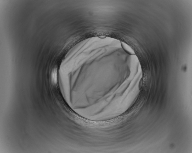 X0000098190046200805151215