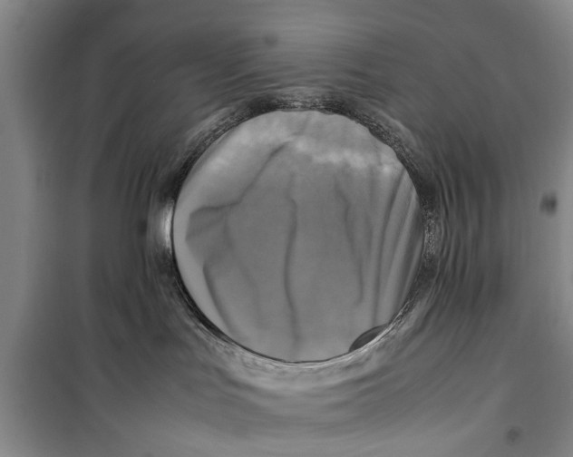 X0000098190047200805151215