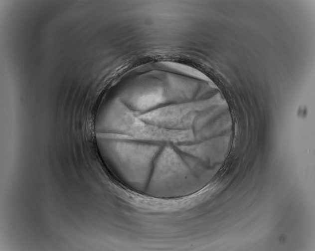 X0000098190048200805151215