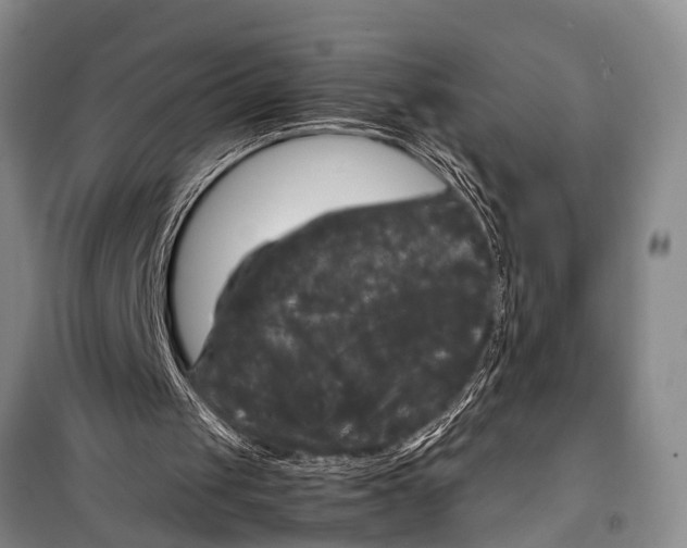 X0000098190049200805151214