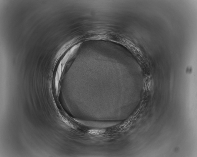 X0000098190051200805151214