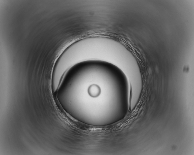 X0000098190052200805151214