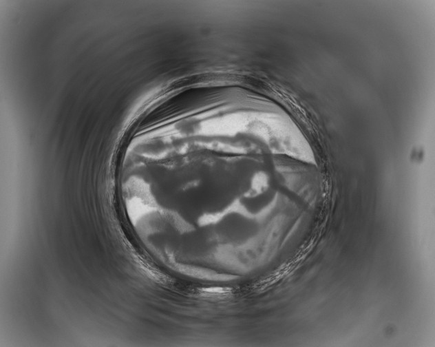 X0000098190053200805151214