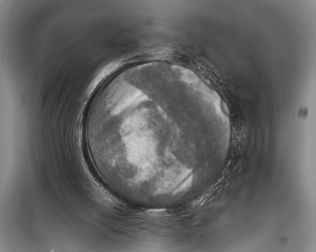 X0000098190054200805151214