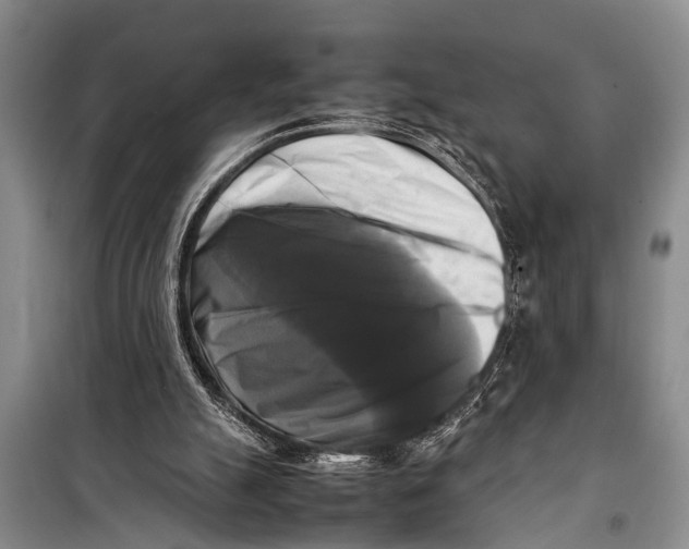X0000098190055200805151214