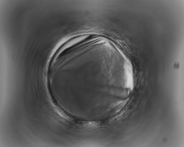 X0000098190056200805151214