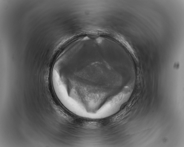 X0000098190058200805151214