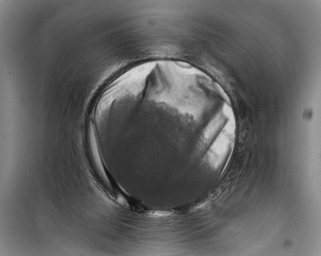 X0000098190060200805151215