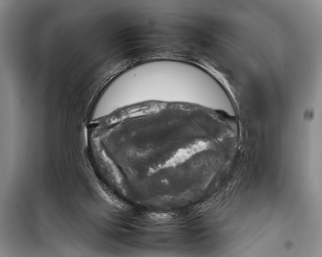 X0000098190061200805151215