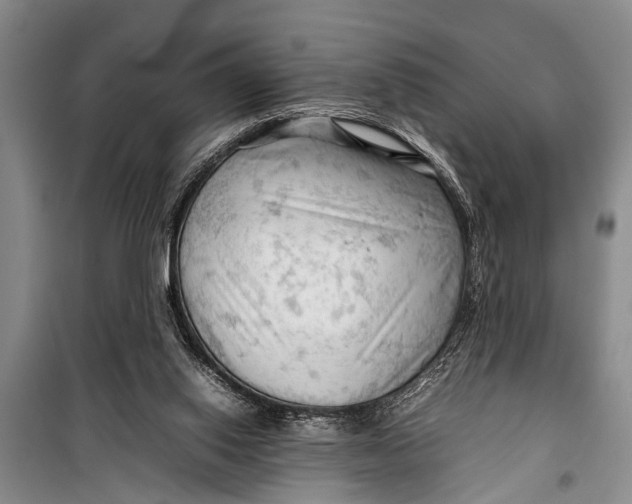 X0000098190062200805151215
