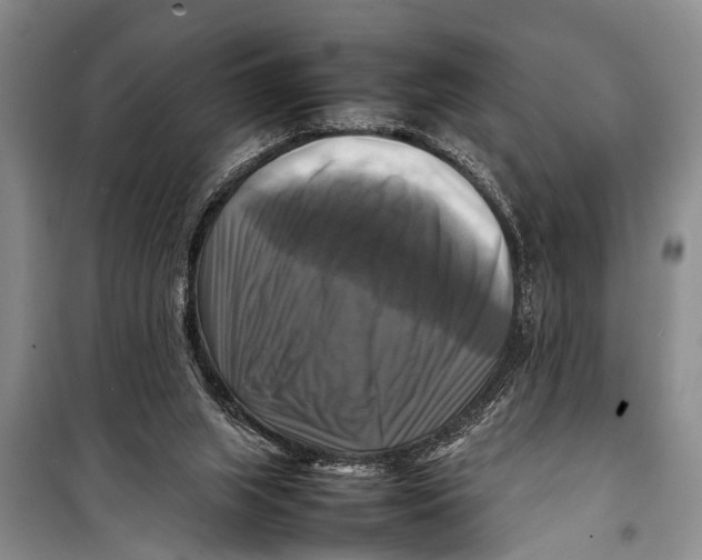 X0000098190063200805151215