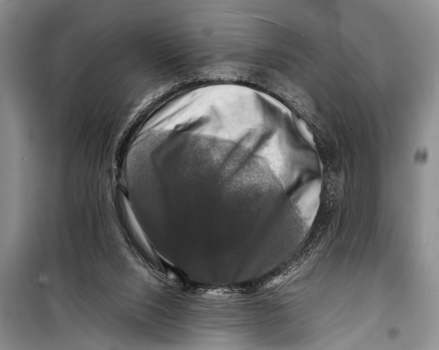 X0000098190064200805151215
