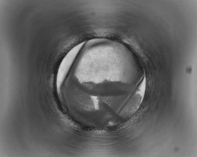 X0000098190066200805151215