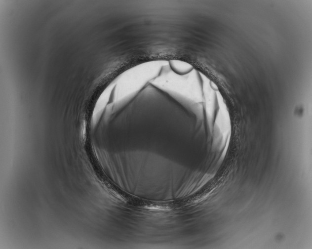 X0000098190067200805151215