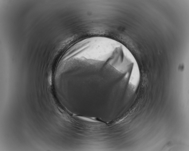 X0000098190068200805151215