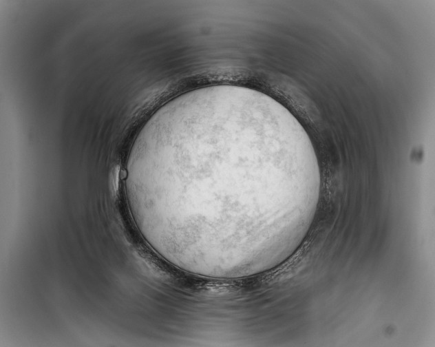 X0000098190070200805151215