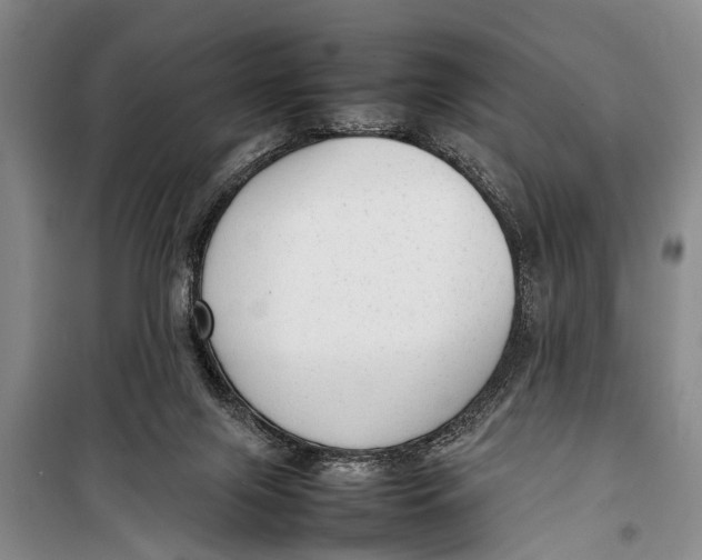 X0000098190071200805151215