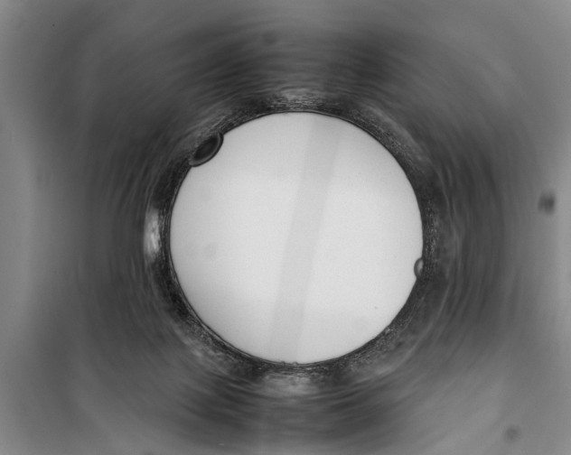 X0000098190075200805151215